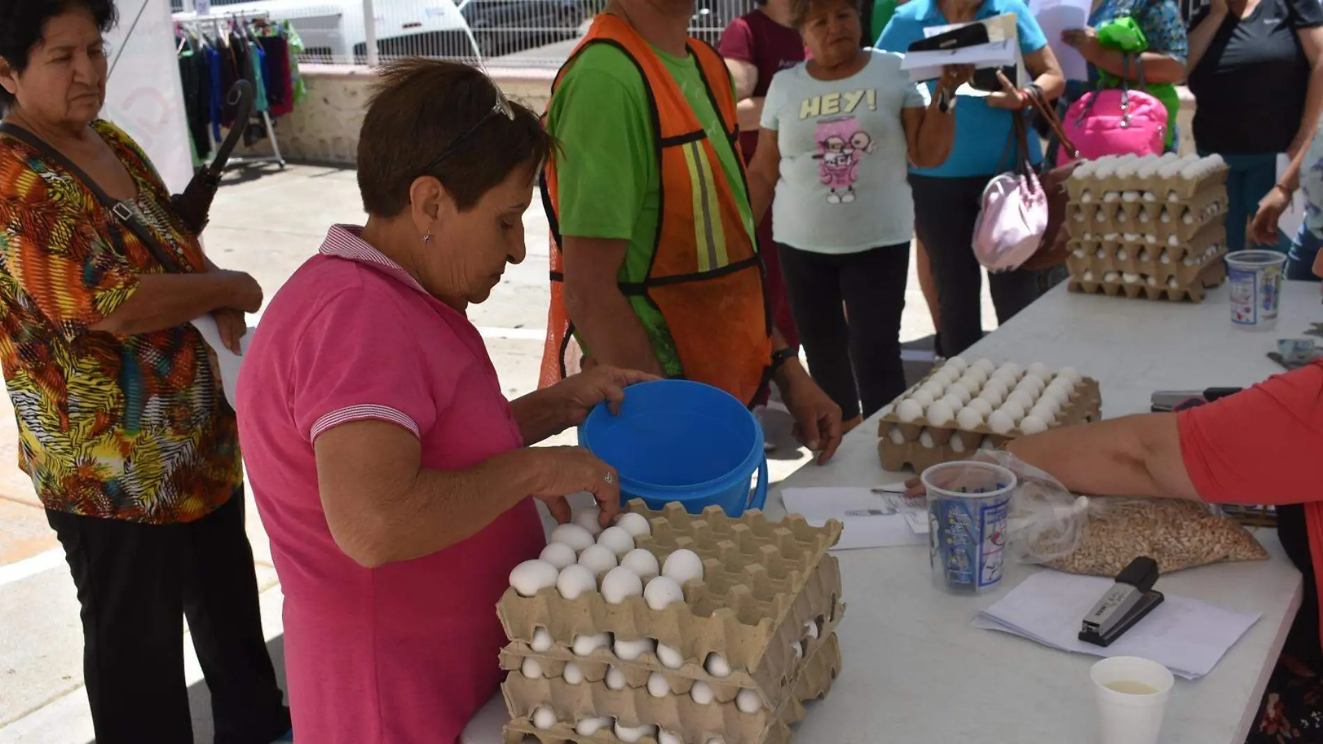 programa alimentario